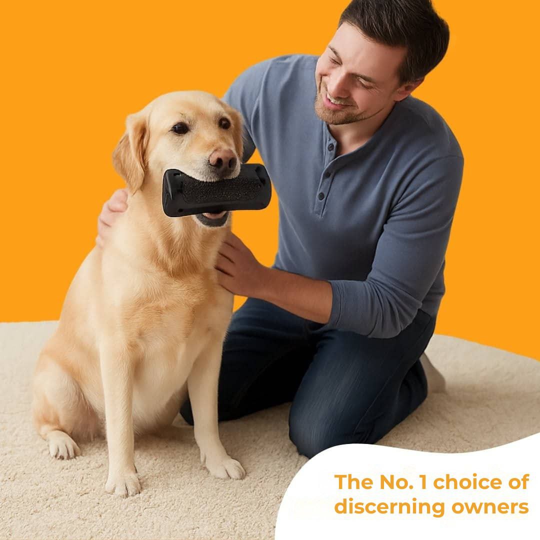 Dog brush